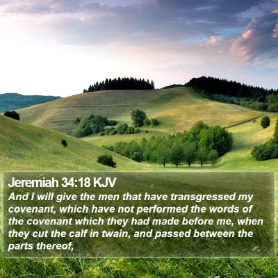Jeremiah 34:18 KJV Bible Verse Image