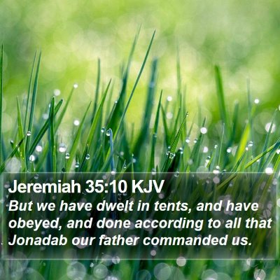 Jeremiah 35:10 KJV Bible Verse Image