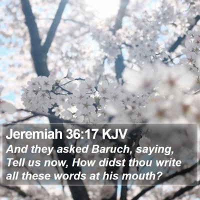 Jeremiah 36:17 KJV Bible Verse Image