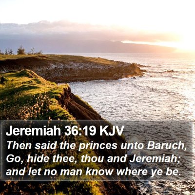 Jeremiah 36:19 KJV Bible Verse Image