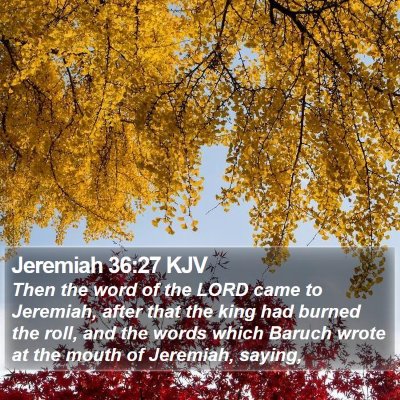 Jeremiah 36:27 KJV Bible Verse Image