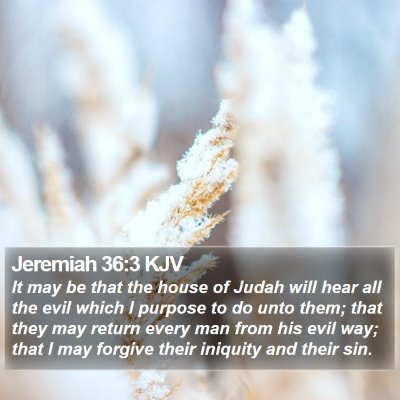 Jeremiah 36:3 KJV Bible Verse Image