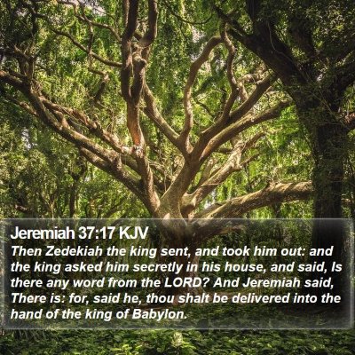 Jeremiah 37:17 KJV Bible Verse Image