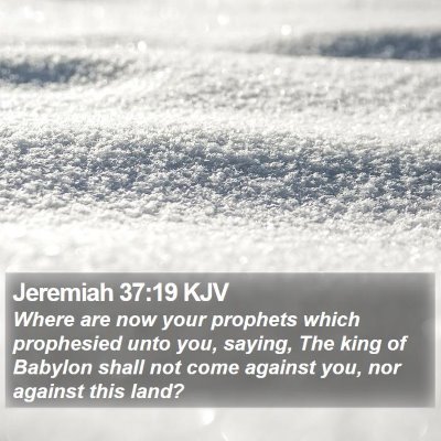 Jeremiah 37:19 KJV Bible Verse Image