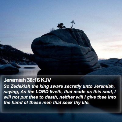 Jeremiah 38:16 KJV Bible Verse Image