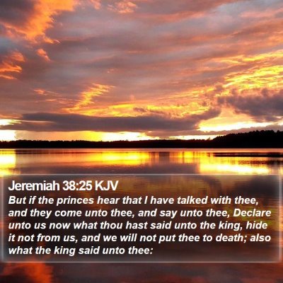 Jeremiah 38:25 KJV Bible Verse Image