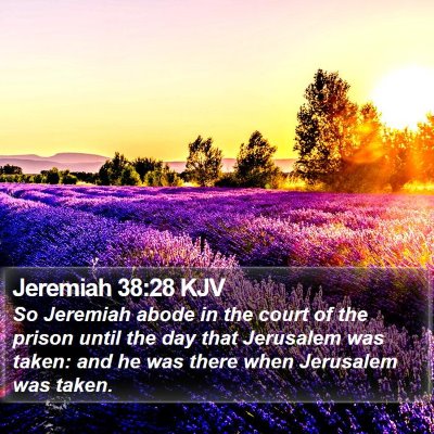 Jeremiah 38:28 KJV Bible Verse Image