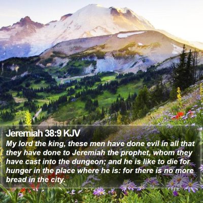 Jeremiah 38:9 KJV Bible Verse Image