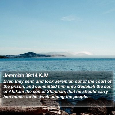 Jeremiah 39:14 KJV Bible Verse Image