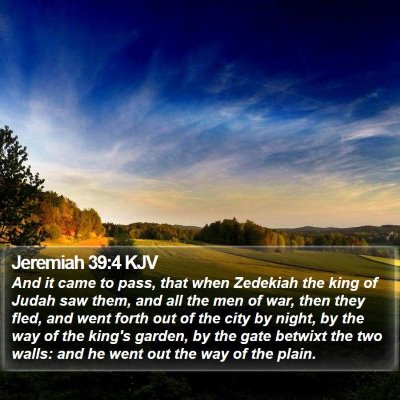 Jeremiah 39:4 KJV Bible Verse Image