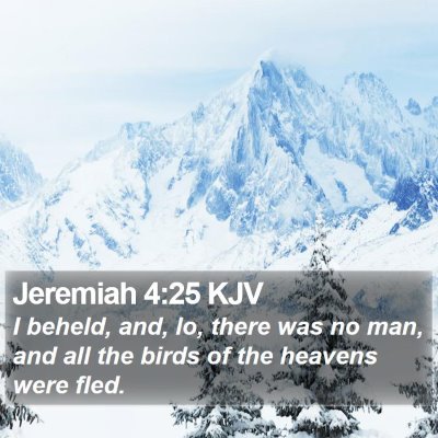 Jeremiah 4:25 KJV Bible Verse Image