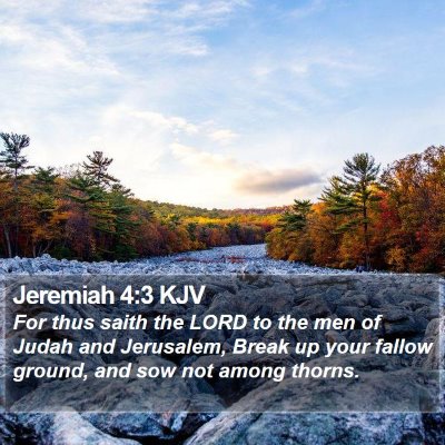 Jeremiah 4:3 KJV Bible Verse Image