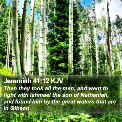 Jeremiah 41:12 KJV Bible Verse Image