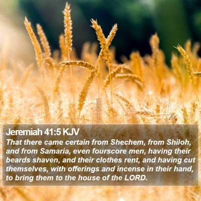 Jeremiah 41:5 KJV Bible Verse Image