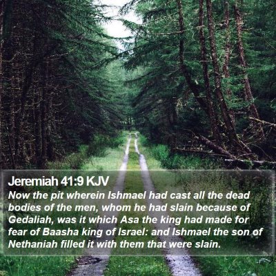 Jeremiah 41:9 KJV Bible Verse Image