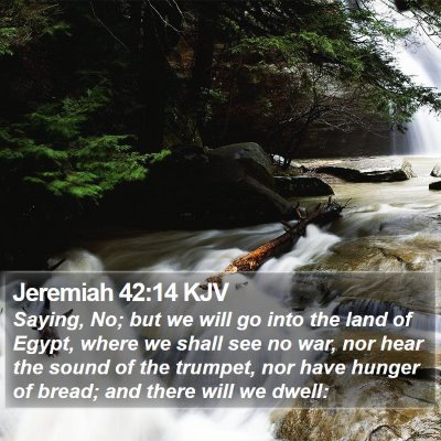 Jeremiah 42:14 KJV Bible Verse Image