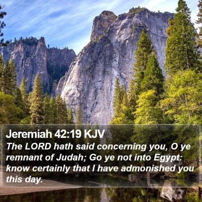 Jeremiah 42:19 KJV Bible Verse Image
