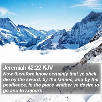 Jeremiah 42:22 KJV Bible Verse Image