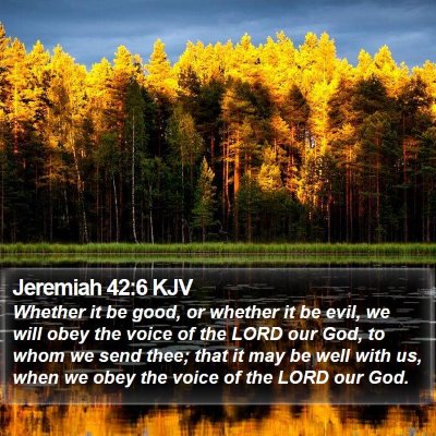 Jeremiah 42:6 KJV Bible Verse Image