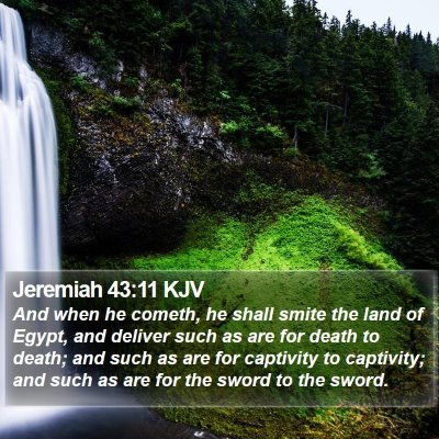Jeremiah 43:11 KJV Bible Verse Image