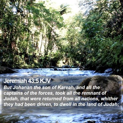 Jeremiah 43:5 KJV Bible Verse Image