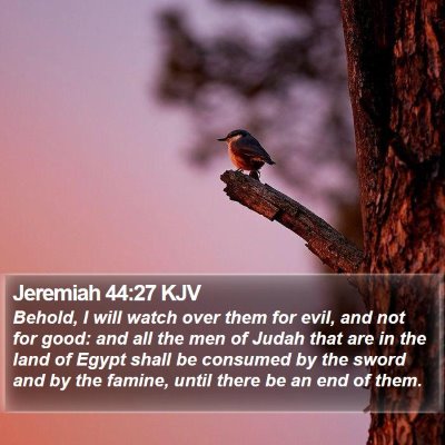 Jeremiah 44:27 KJV Bible Verse Image