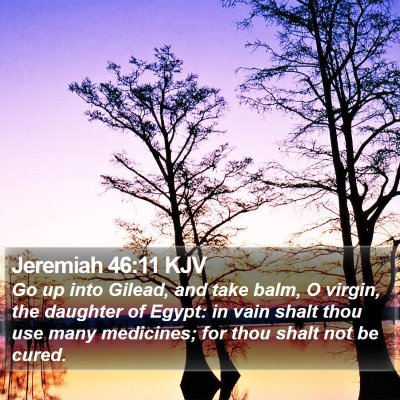 Jeremiah 46:11 KJV Bible Verse Image