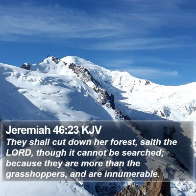 Jeremiah 46:23 KJV Bible Verse Image
