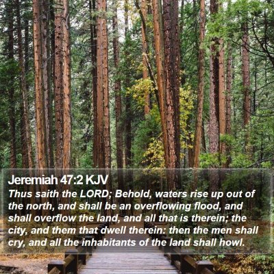 Jeremiah 47:2 KJV Bible Verse Image