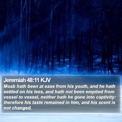 Jeremiah 48:11 KJV Bible Verse Image