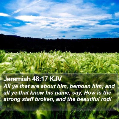 Jeremiah 48:17 KJV Bible Verse Image