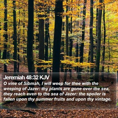 Jeremiah 48:32 KJV Bible Verse Image