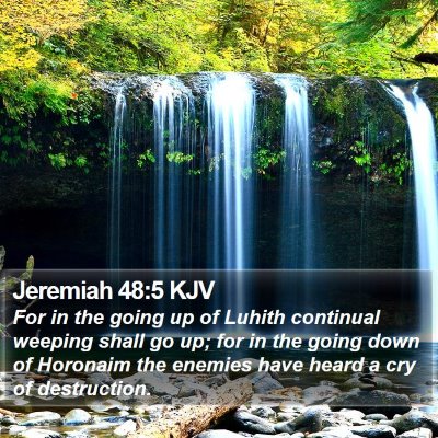 Jeremiah 48:5 KJV Bible Verse Image