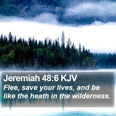 Jeremiah 48:6 KJV Bible Verse Image