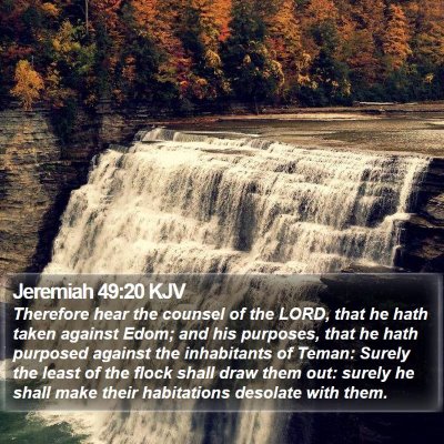 Jeremiah 49:20 KJV Bible Verse Image