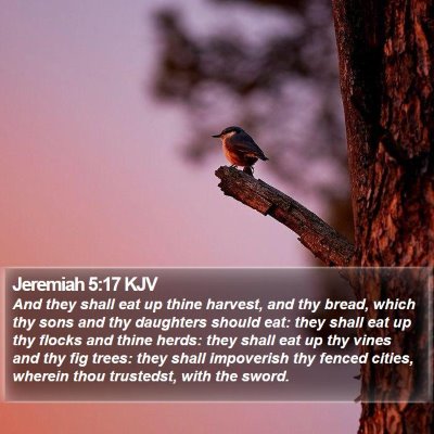 Jeremiah 5:17 KJV Bible Verse Image