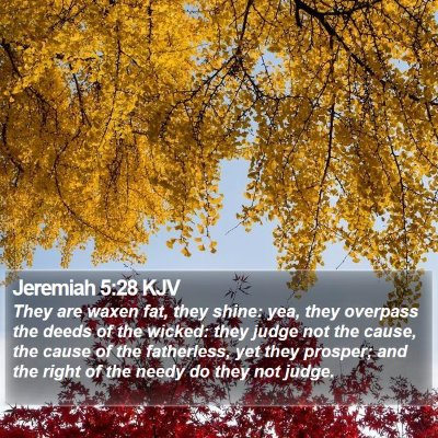 Jeremiah 5:28 KJV Bible Verse Image