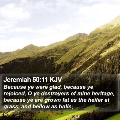 Jeremiah 50:11 KJV Bible Verse Image