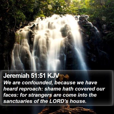 Jeremiah 51:51 KJV Bible Verse Image