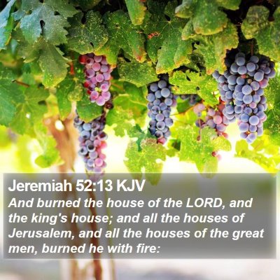 Jeremiah 52:13 KJV Bible Verse Image