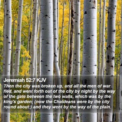Jeremiah 52:7 KJV Bible Verse Image