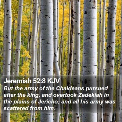 Jeremiah 52:8 KJV Bible Verse Image