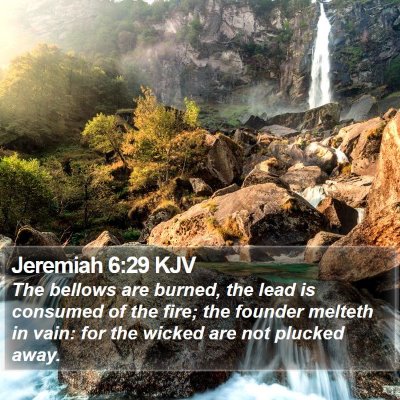 Jeremiah 6:29 KJV Bible Verse Image