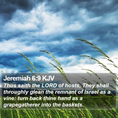 Jeremiah 6:9 KJV Bible Verse Image