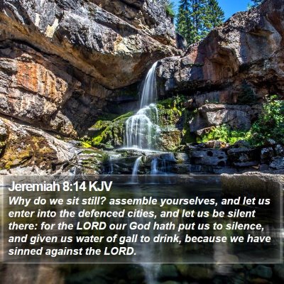 Jeremiah 8:14 KJV Bible Verse Image