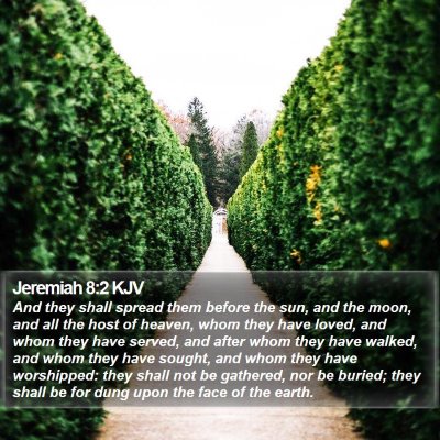 Jeremiah 8:2 KJV Bible Verse Image