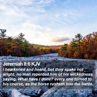 Jeremiah 8:6 KJV Bible Verse Image