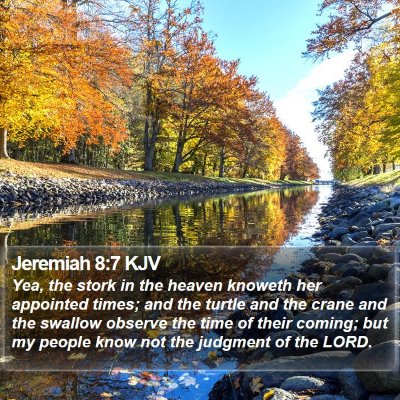 Jeremiah 8:7 KJV Bible Verse Image