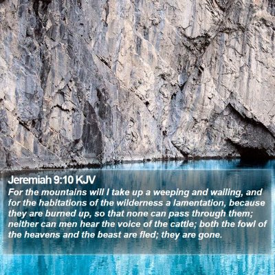 Jeremiah 9:10 KJV Bible Verse Image