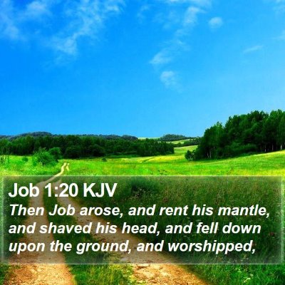 Job 1:20 KJV Bible Verse Image